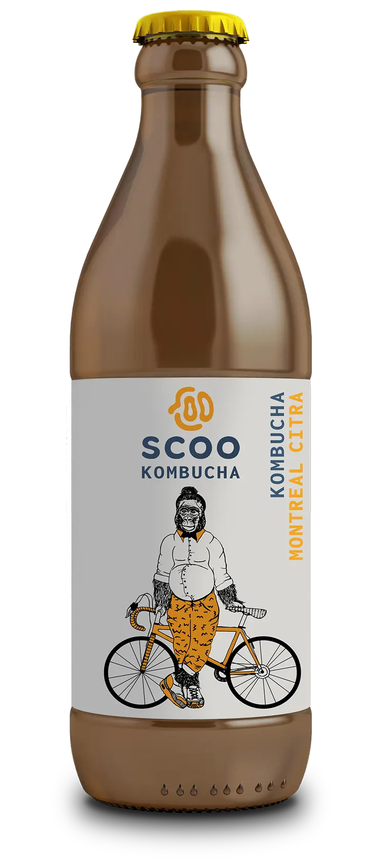 Montreal Citra von Scoo Kombucha